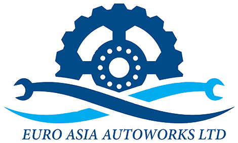 Euro Asia Autoworks Ltd logo